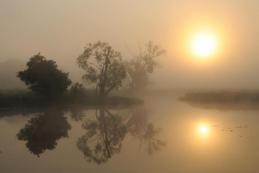 Morgennebel im Odertal 