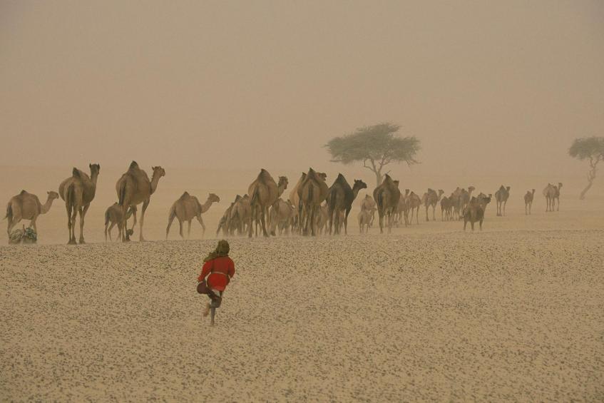 Sandsturm-Tschad 