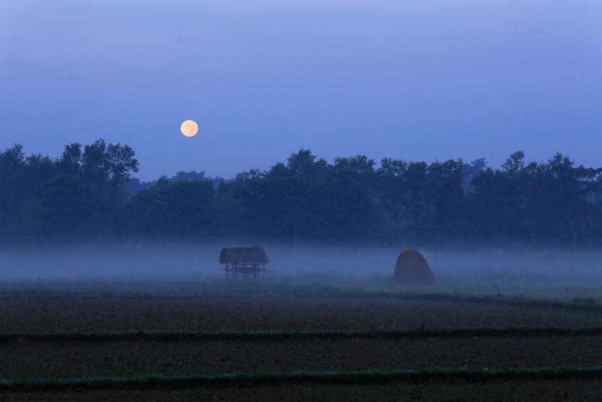 Morning fog in the field 
