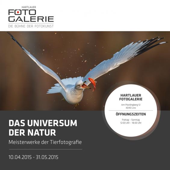 Bildband der Ausstellung "Das Universum der Natur - Meisterwerke der Tierfotografie" 