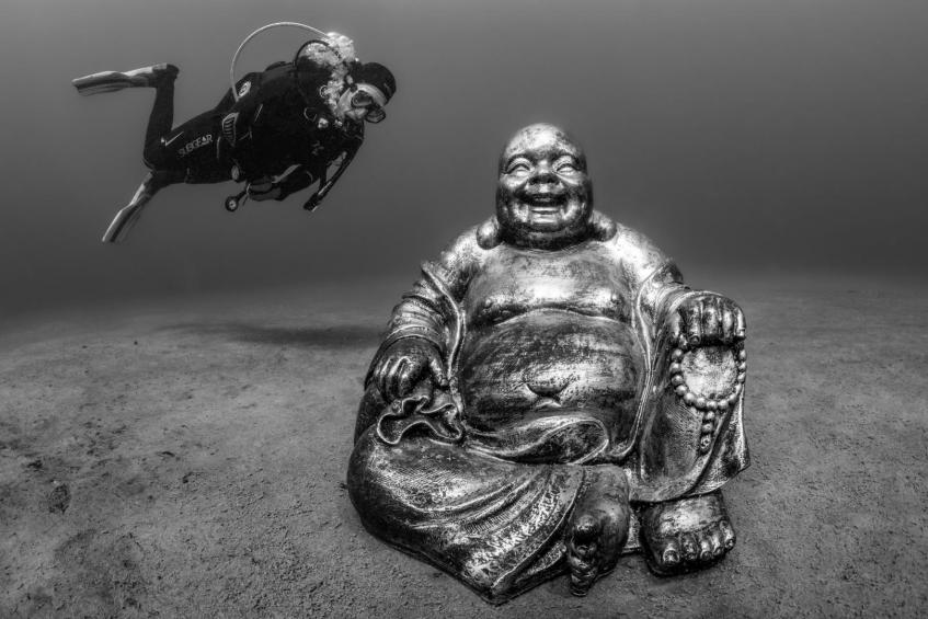 Buddha's Buddy 