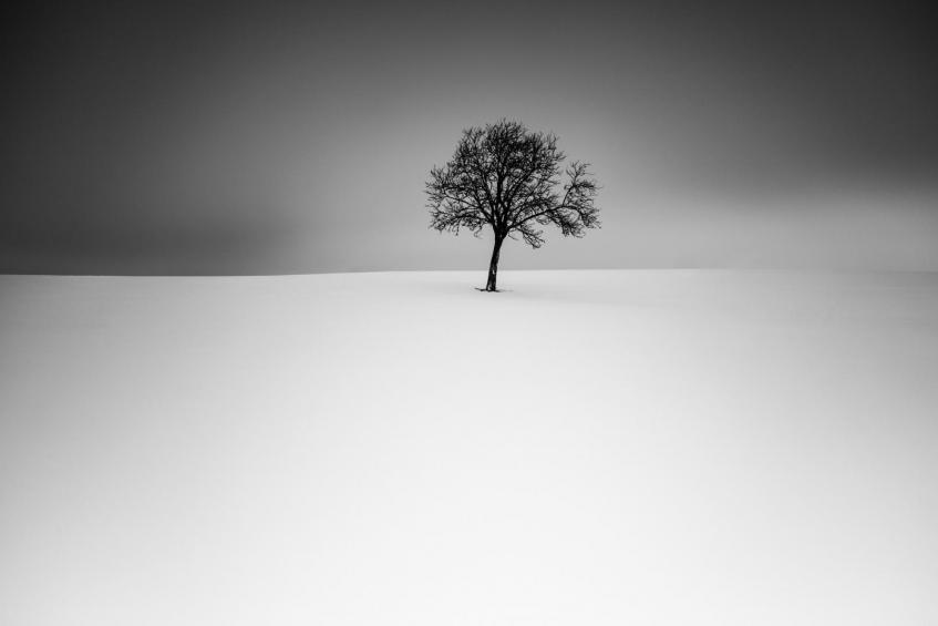 Winter in Solitude 