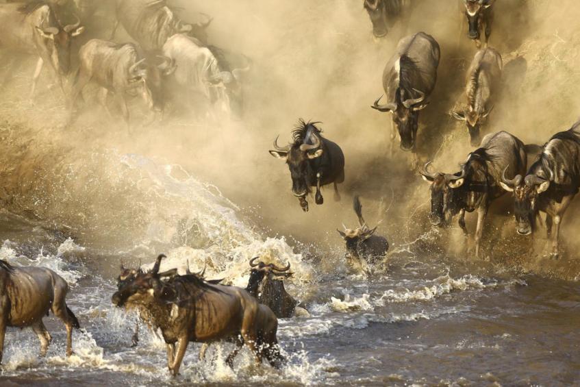 Crossing Mara River 