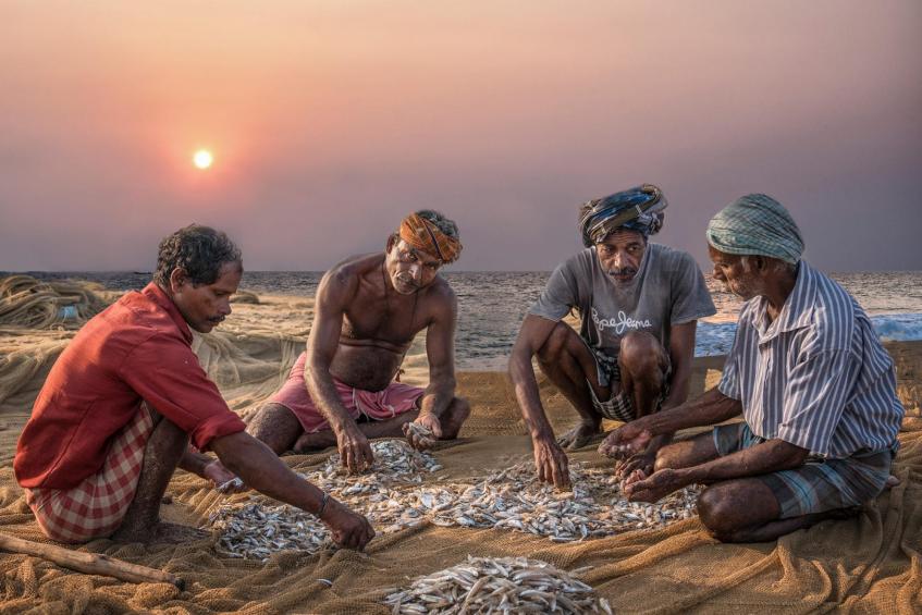 Fischer von Kerala 