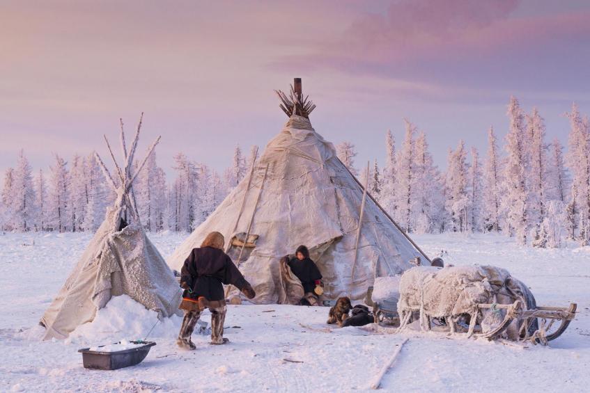 Nenets nomadic life 