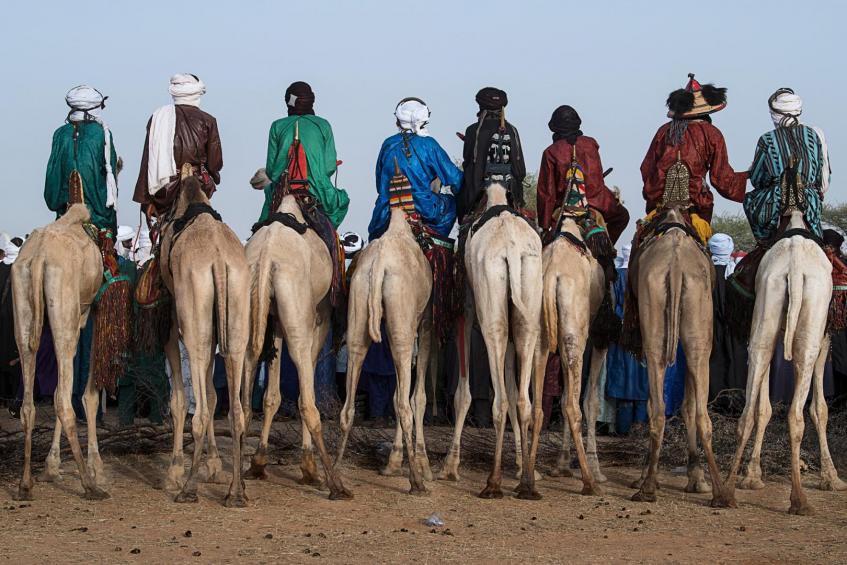 Watching the Gerewol festival from the camels 