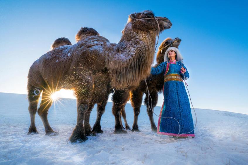Girl and camels 