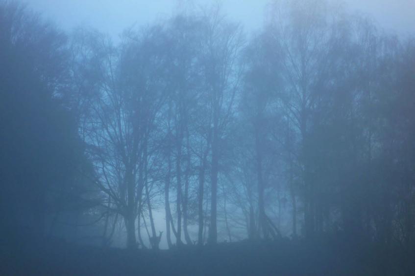 Nebel und Erscheinung 