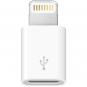 Apple Lightning/Micro USB Adapter  - Thumbnail 1