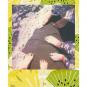 Polaroid 600 Color Film Summer Fruits  - Thumbnail 2