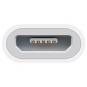 Apple Lightning/Micro USB Adapter  - Thumbnail 2